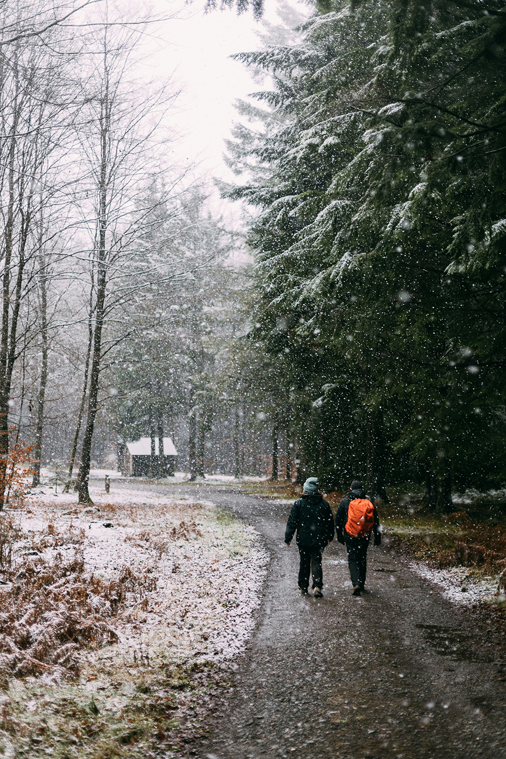 Wandelen