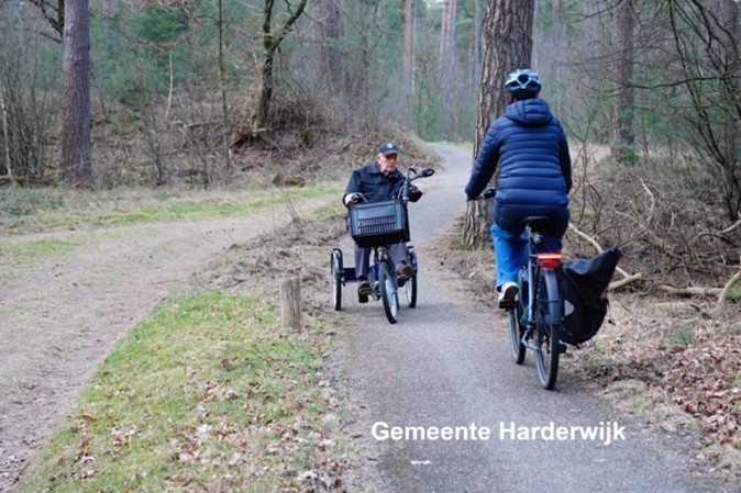 Fietspad bos Harderwijk