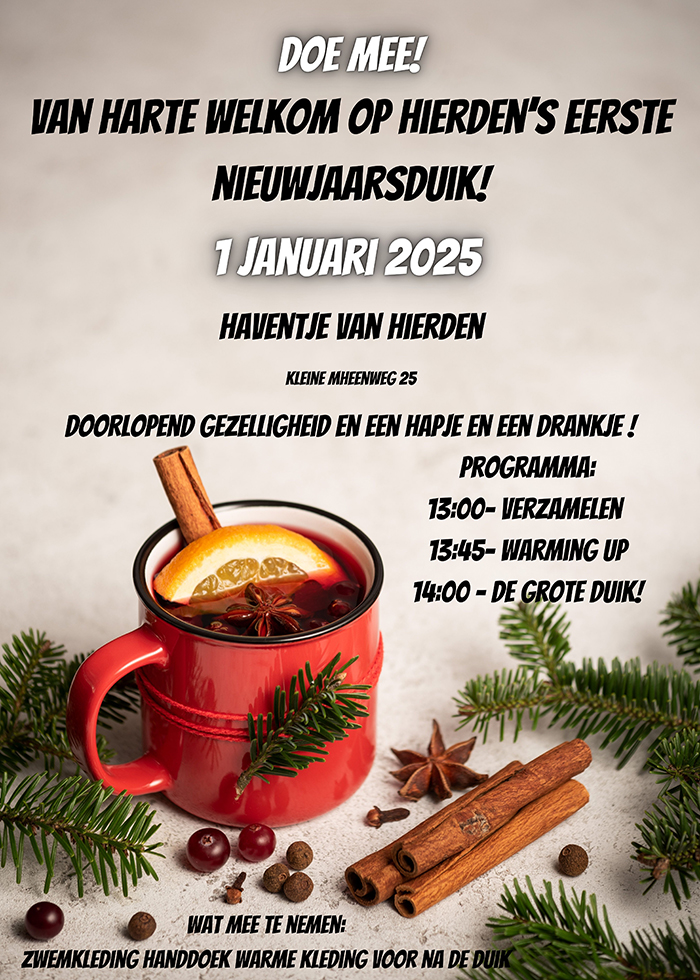 Nieuwjaarsduik Hierden 2024