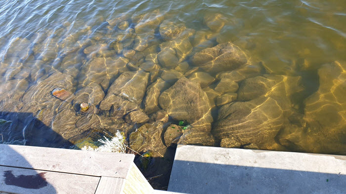 Afval in het water Wolderwijd