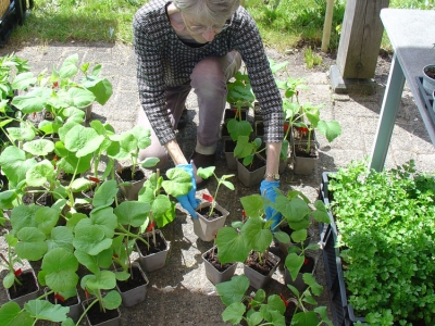 Plantjesmarkt van Groei & Bloei