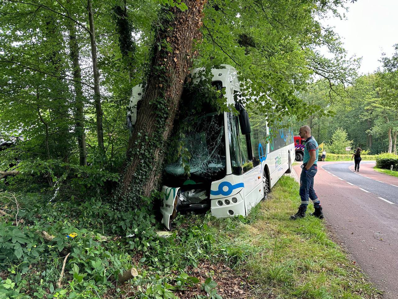 Lijnbus Botst Frontaal Tegen Boom In Ermelo - Harderwijksezaken.nl