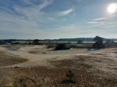 Deel wandelpaden Hulshorsterzand weer open