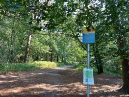 Aanlijnadvies in losloopgebied hondenbos