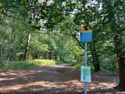 Aanlijnadvies in losloopgebied hondenbos