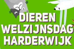 Dieren Welzijn Event