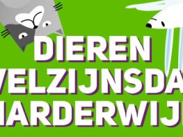 Dieren Welzijn Event