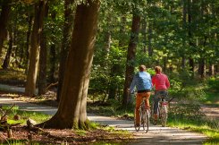 Veluwse fietsdagen op 17, 18 en 19 september 2024