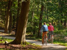 Veluwse fietsdagen op 17, 18 en 19 september 2024