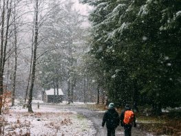 De mooiste wandelroutes in de Benelux