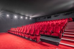 Filmoverzicht Kok CinemaxX Harderwijk en Lelystad 7 november tot en met 13 november 2024