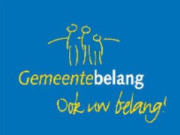 Gemeentebelang Harderwijk-Hierden stemt tegen de Begroting 2025-2028: 'Doe maar normaal, das gek genoeg'