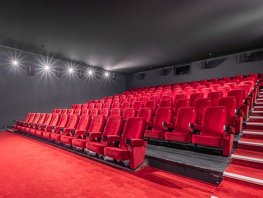 Filmoverzicht Kok CinemaxX Harderwijk en Lelystad 14 november tot en met 20 november 2024