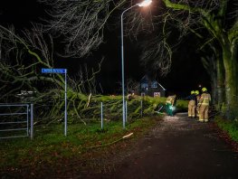 Omgewaaide boom blokkeert weg in Hierden tijdens storm Conall