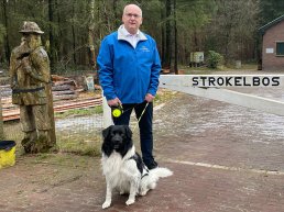 Wolven problemen in het hondenbos