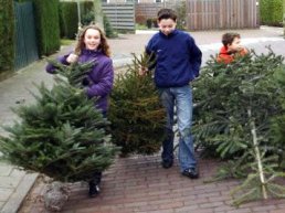 Kerstbomen gratis aan huis opgehaald