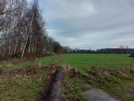 Eén dag na Valentijnsdag 1e boomplantdag in gloednieuw Geboortebos in Hierden