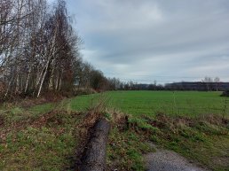 Eén dag na Valentijnsdag 1e boomplantdag in gloednieuw Geboortebos in Hierden