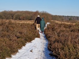 Veluwse Wandeldagen 27, 28 februari en 1 maart 2025